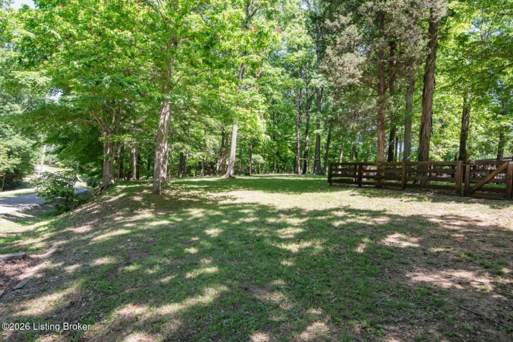 Listing Image 64