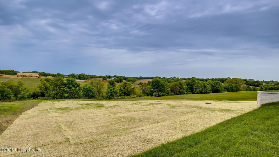 Listing Image 87