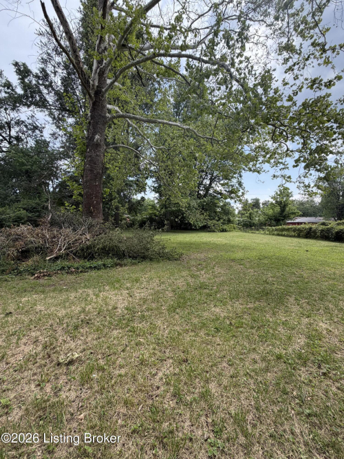 Listing Image 43