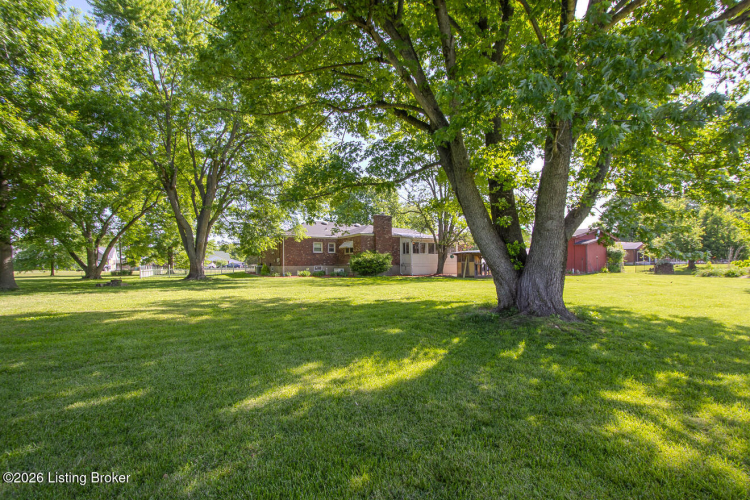 Listing Image 75