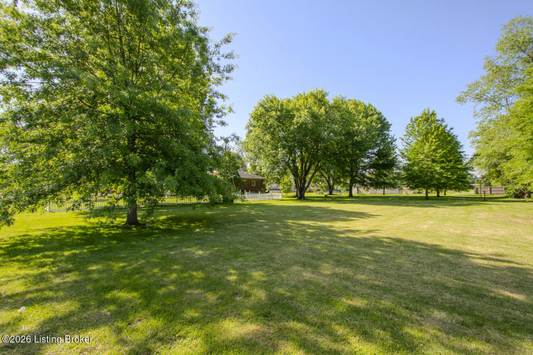 Listing Image 86