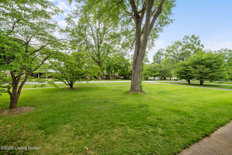 Listing Image 39