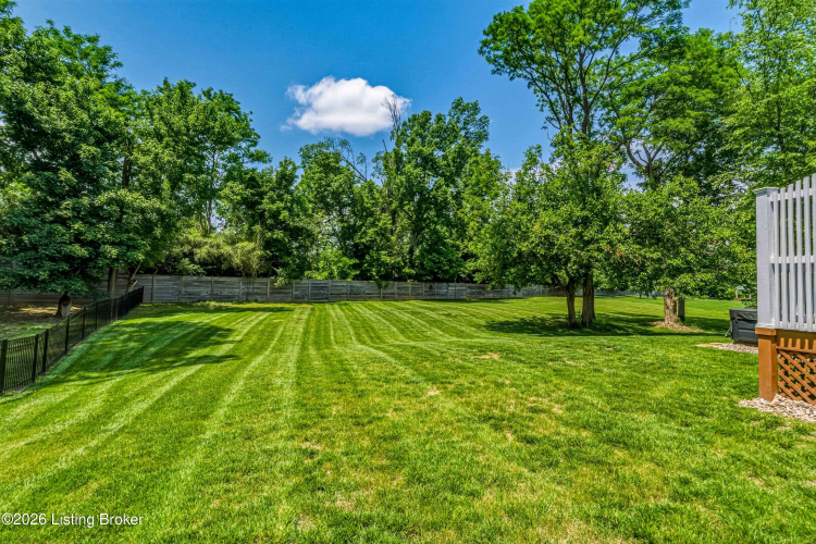 Listing Image 64