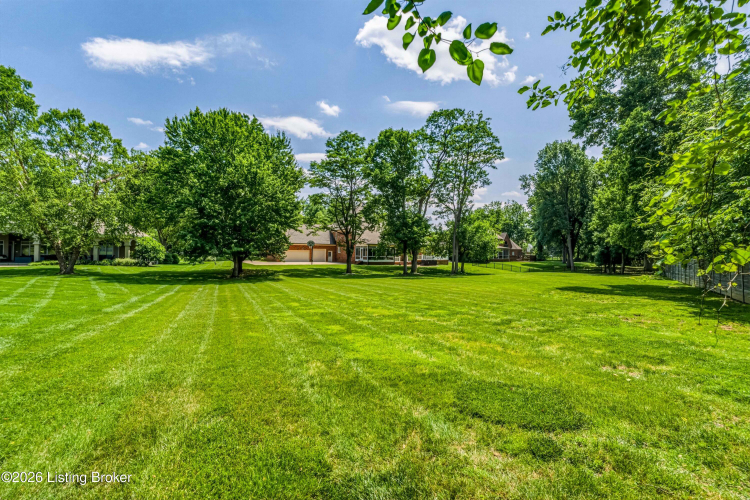 Listing Image 65