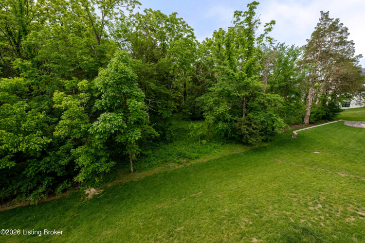 Listing Image 81