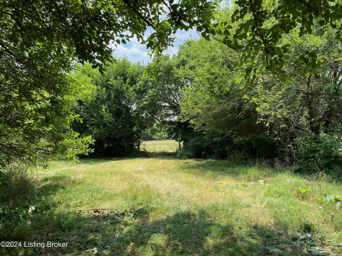 Listing Image 17