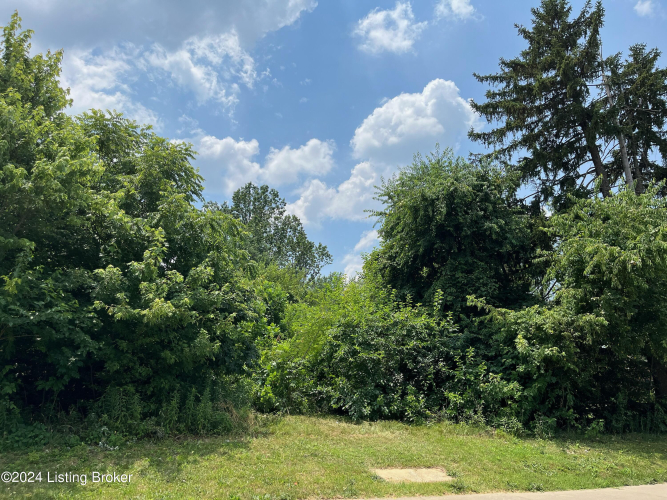 Listing Image 18