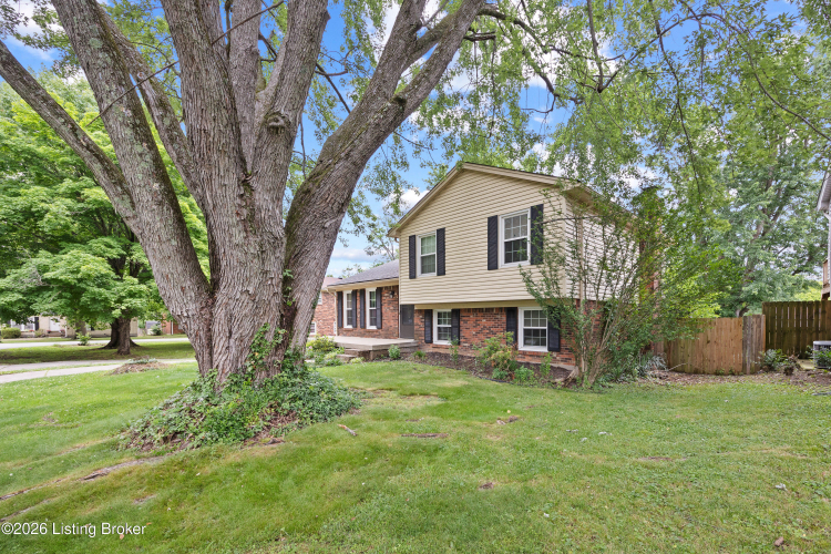 Listing Image 18