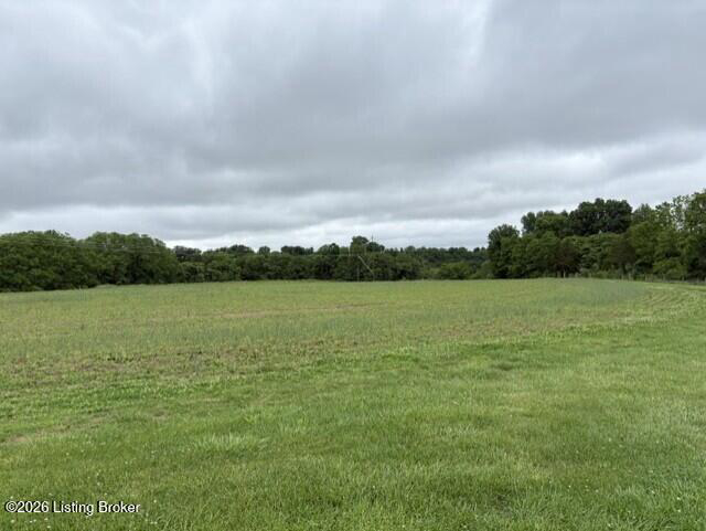 Listing Image 53