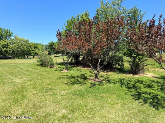 Listing Image 41
