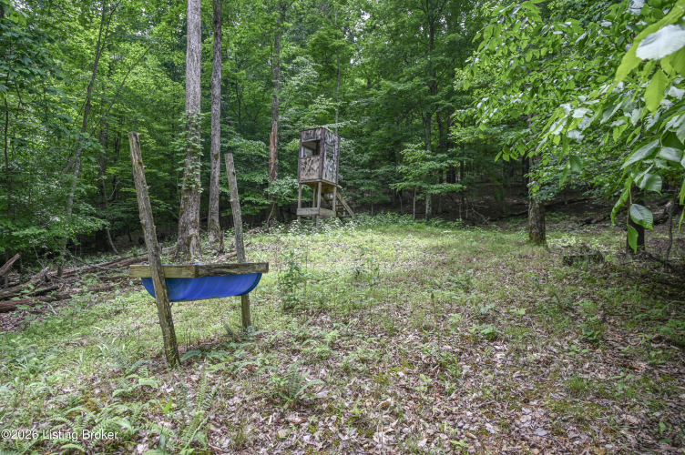 Listing Image 40