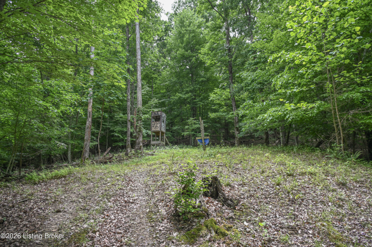 Listing Image 41