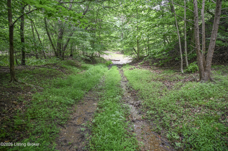 Listing Image 43