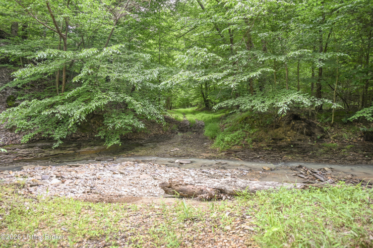 Listing Image 46