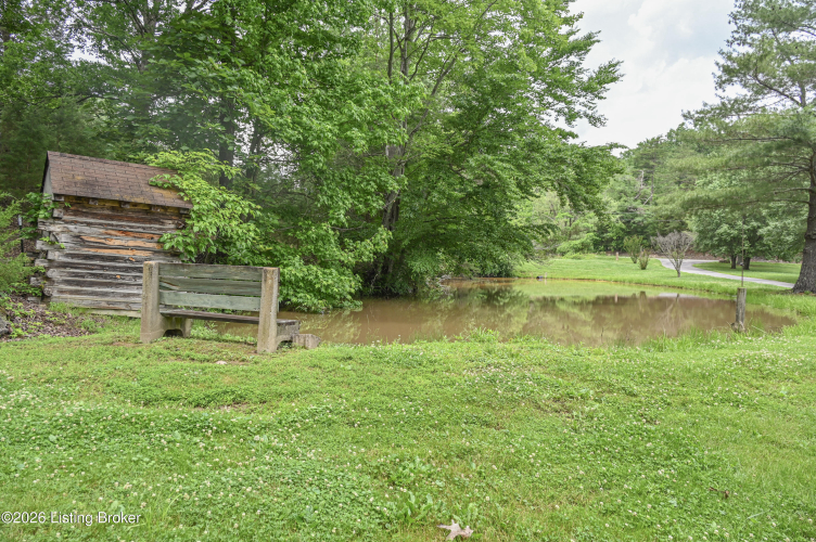 Listing Image 89