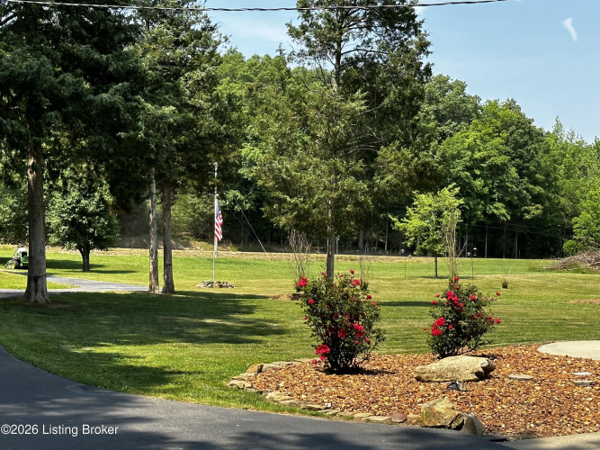 Listing Image 91
