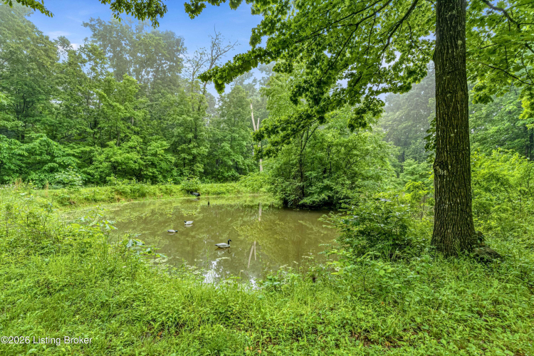 Listing Image 27