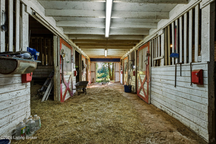 Listing Image 60