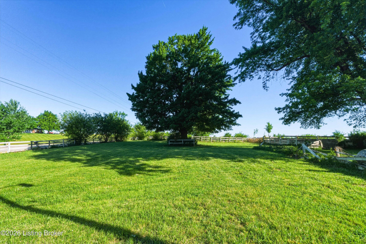 Listing Image 100