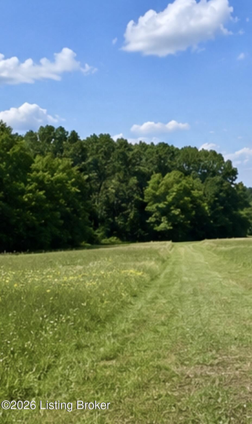 Listing Image 32