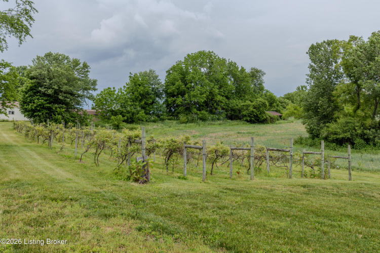 Listing Image 67