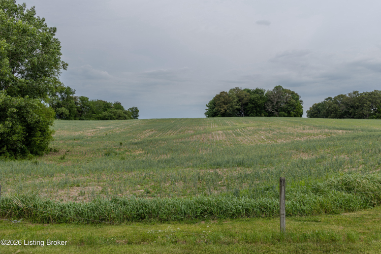 Listing Image 70
