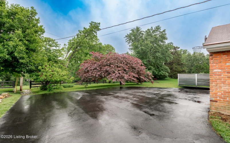 Listing Image 62