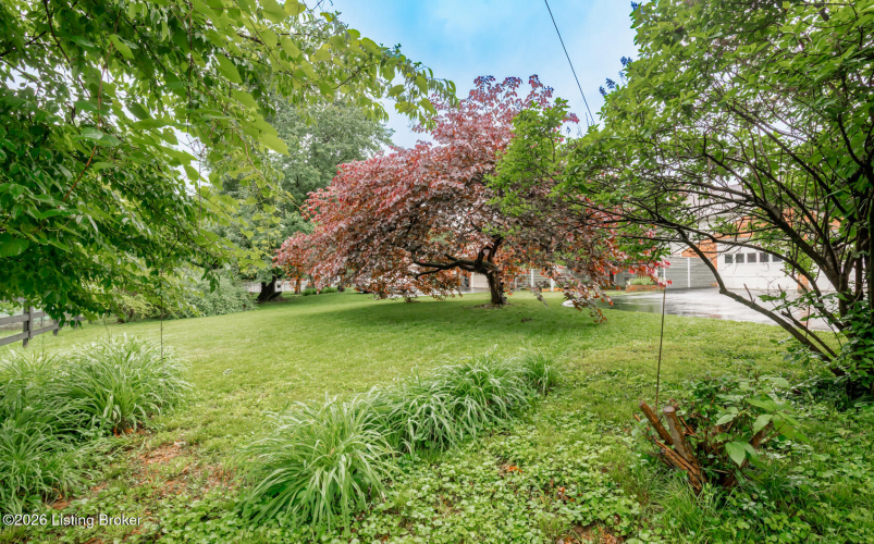 Listing Image 68
