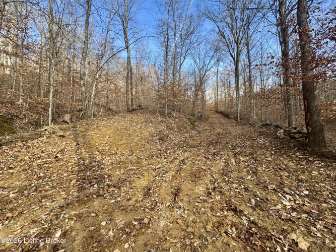 Listing Image 13