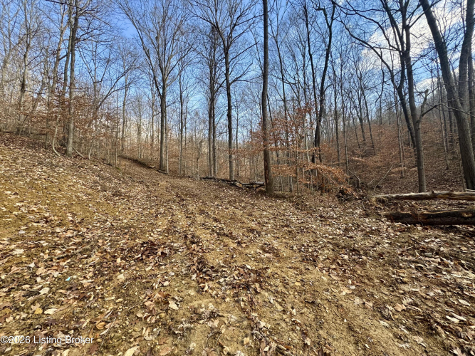 Listing Image 14