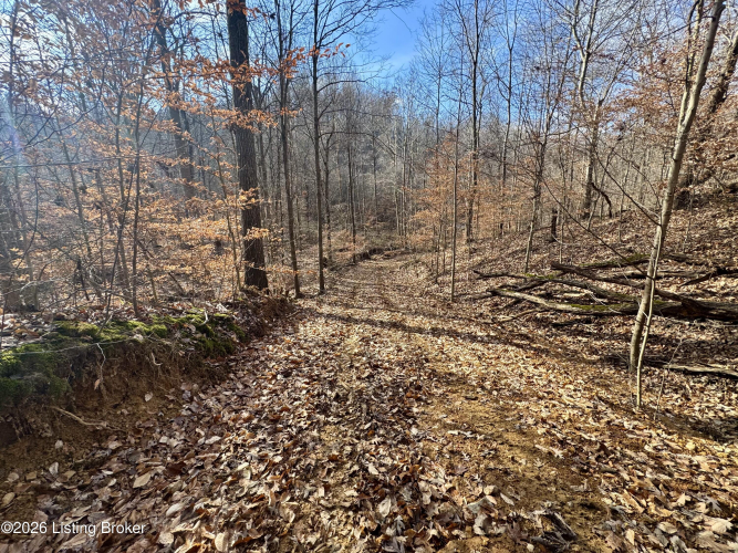 Listing Image 17