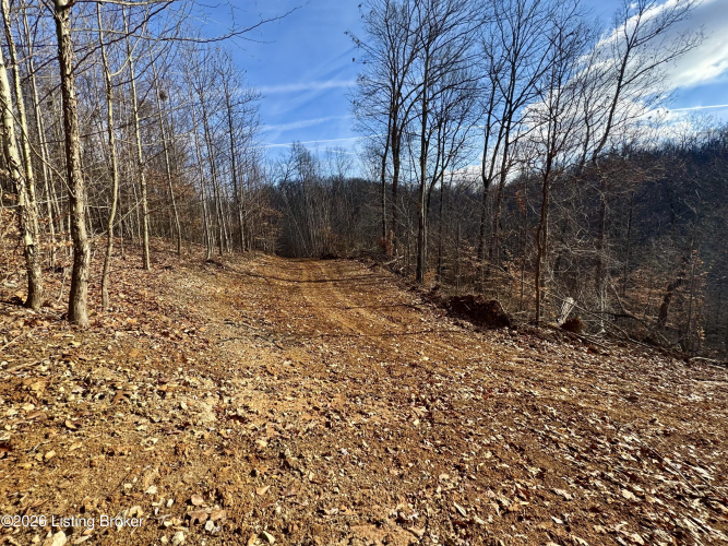Listing Image 22