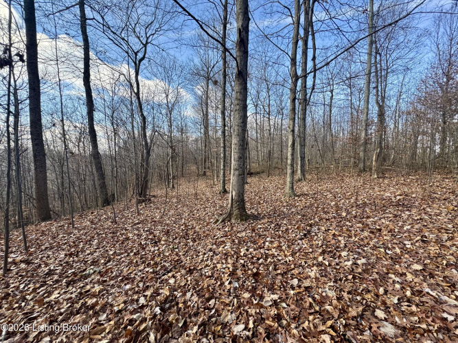 Listing Image 36