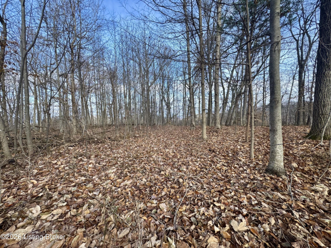 Listing Image 37