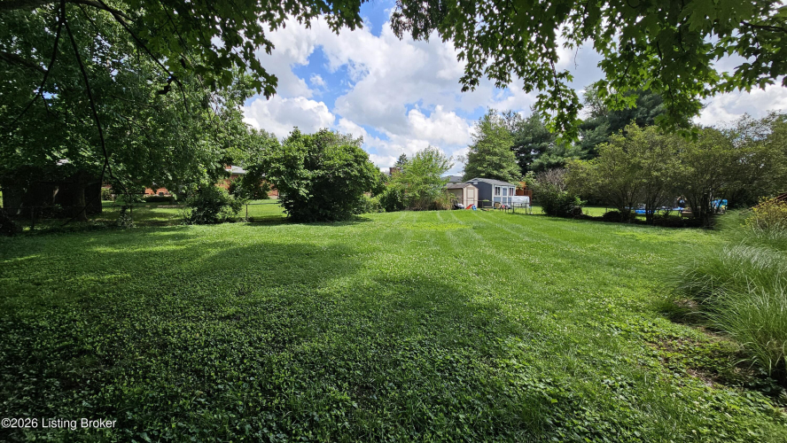 Listing Image 75