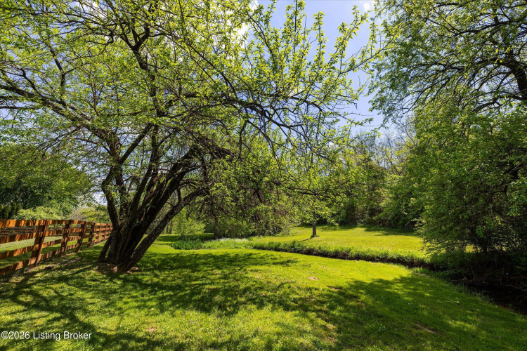 Listing Image 35