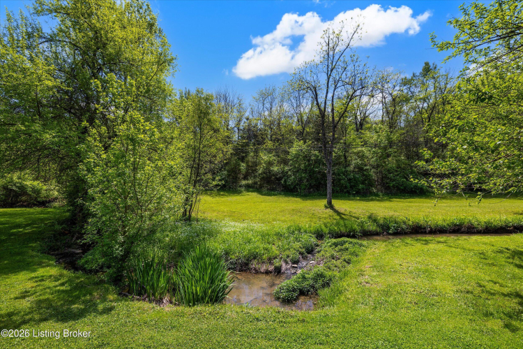 Listing Image 37