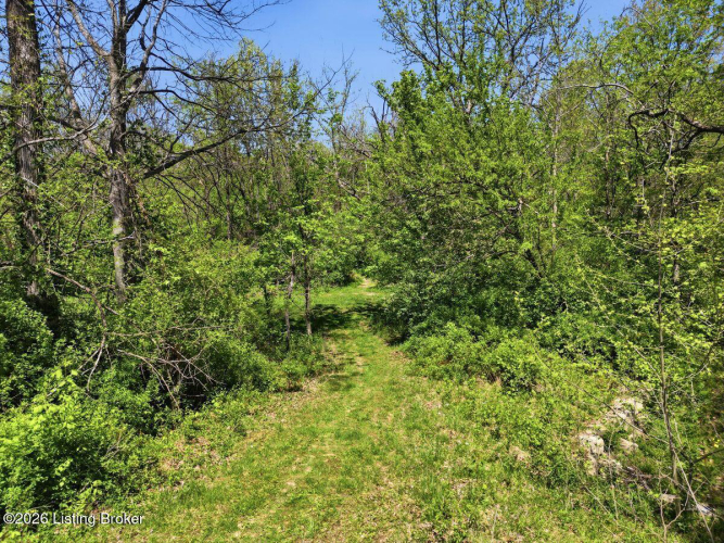 Listing Image 41