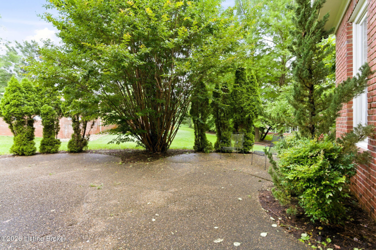 Listing Image 71
