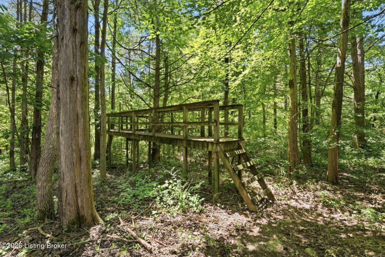Listing Image 85