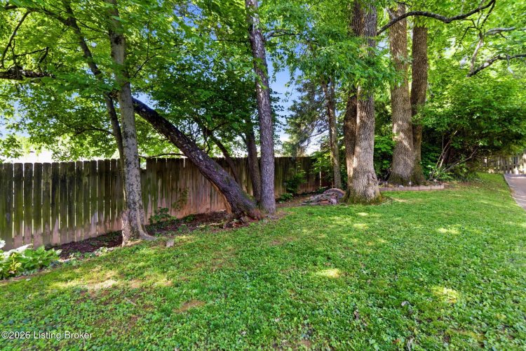 Listing Image 49