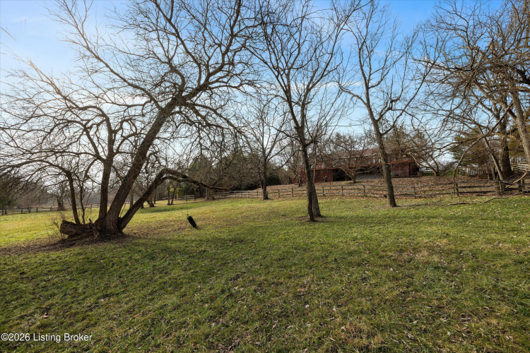 Listing Image 47