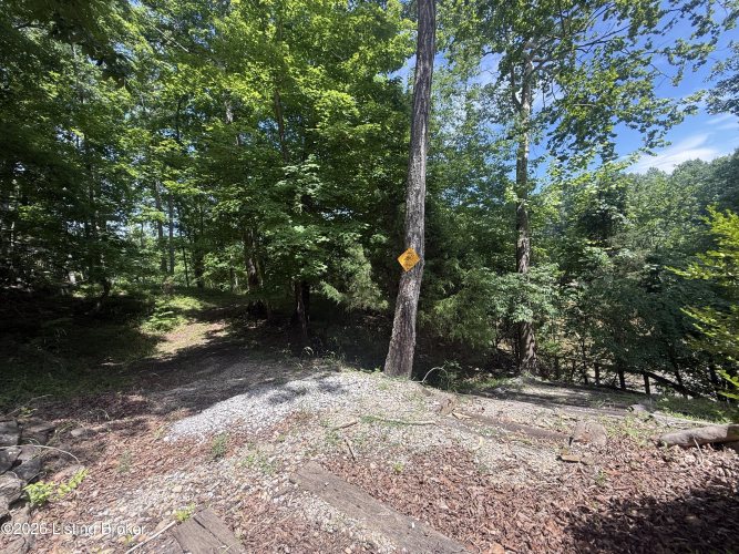 Listing Image 52
