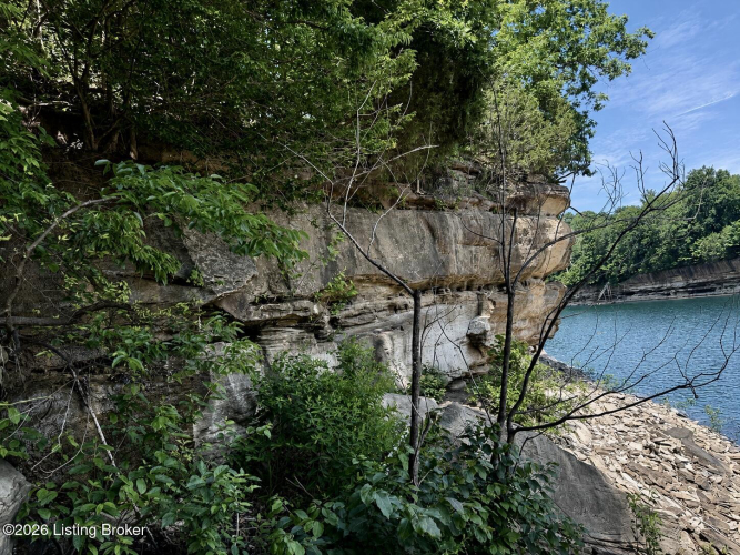 Listing Image 55