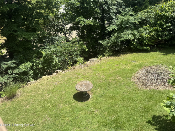 Listing Image 61