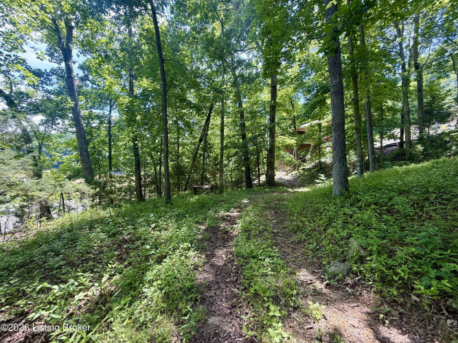 Listing Image 63