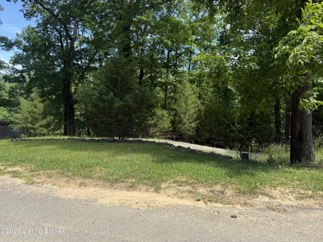 Listing Image 64