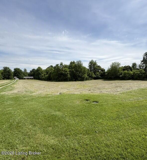 Listing Image 29