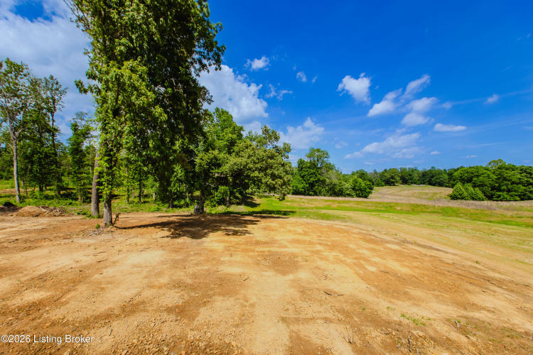 Listing Image 65
