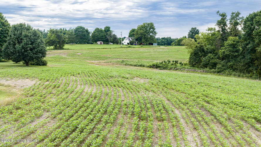 Listing Image 28